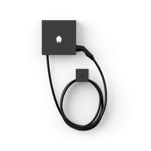 ae03538.png
