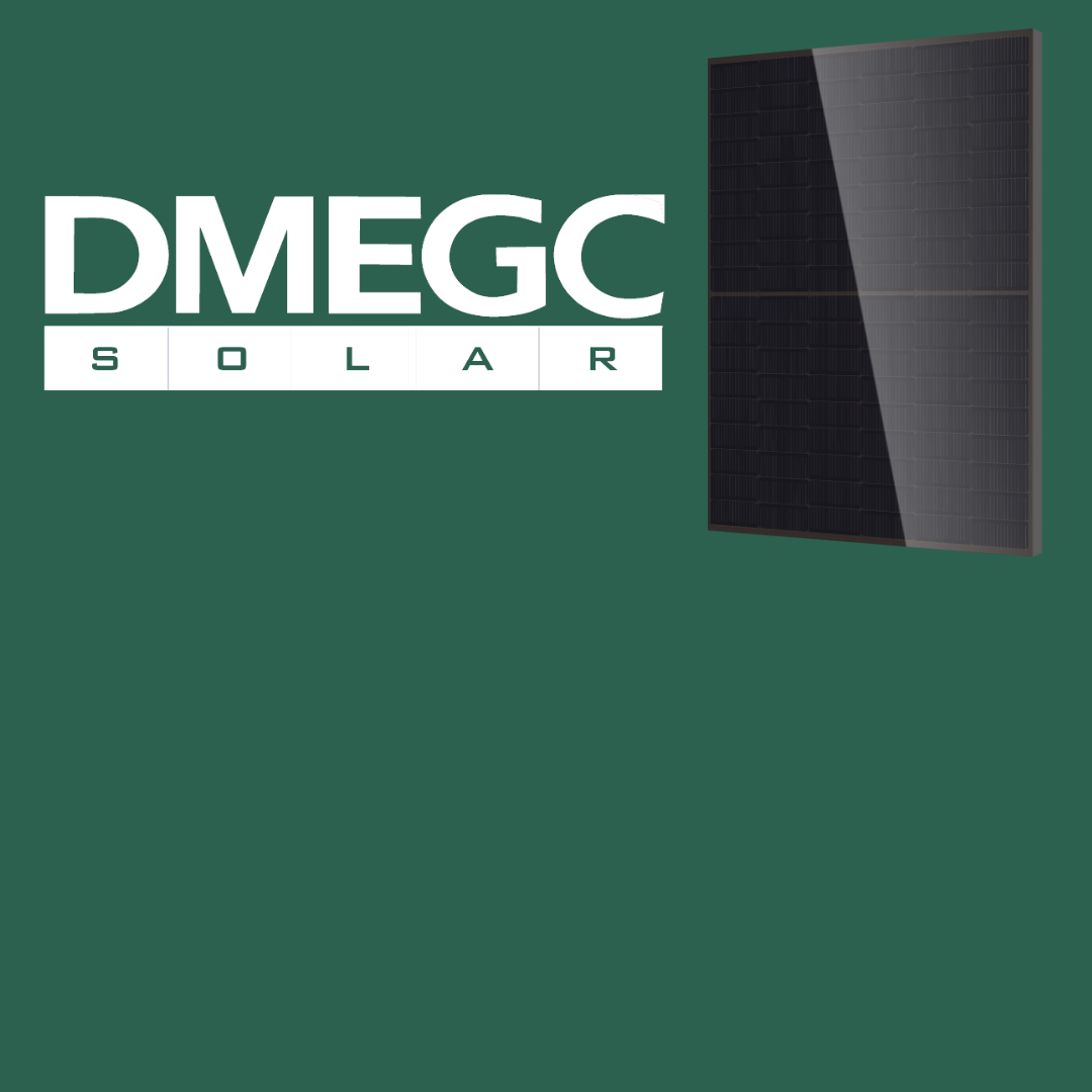DMEGC N-Type TOPCon Panelen